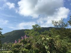 -亚龙湾国际玫瑰谷