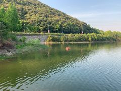 -宁波九龙湖开元度假村