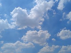 -逍遥镇刘相五胡辣汤豆沫馆(康复中街店)