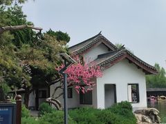 -团结湖公园