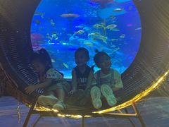 -沈阳海洋探索中心