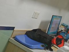 -乐派堂宠物医院·猫友好· 心脏科(东街店)