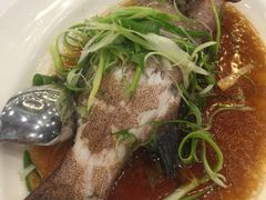 -龙皇酒家(黄埔店)