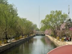 -元大都城垣遗址公园