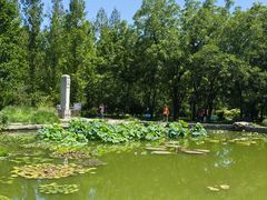 -国家植物园南园