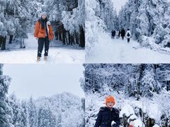 -武陵山森林公园