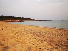 -海南棋子湾开元度假村·祺咖啡自助餐厅