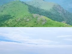 -大姆山草场