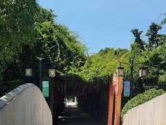 -白马涧龙池景区