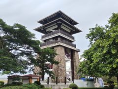 -大湾区中央湿地公园
