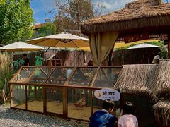 -HERRE·FARM 赫尔露营农场·团建聚会包场