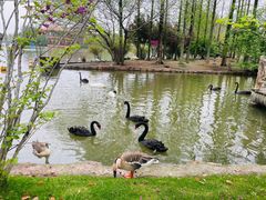 -上海野生动物园老虎餐厅