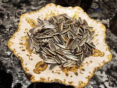 -领航美食音乐餐吧