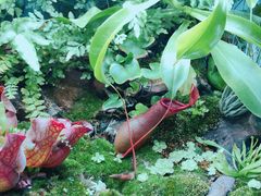 -UCCA Kids 儿童美育