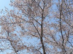 -石家庄市植物园