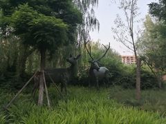 -国家动漫园