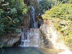 -金鸡山公园