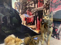 -昆明动物博物馆