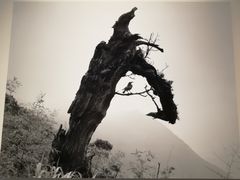 -广州当代美术馆