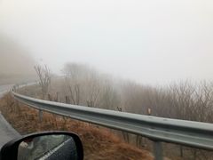 -四明山国家森林公园