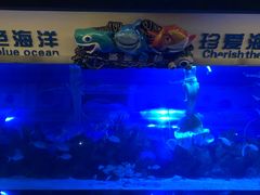 -成都浩海立方海洋公园
