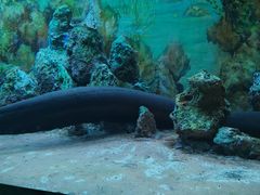 -乌鲁木齐海洋馆