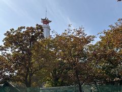 -狼牙山风景区