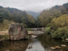 -广州市石门国家森林公园