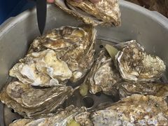 -千岛蚝高压锅生蚝·人参火锅(白云万达店)