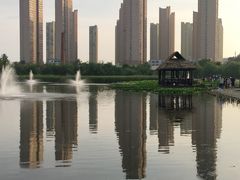 -前关湿地公园