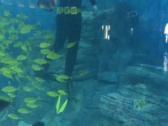 -烟台海昌鲸鲨海洋公园