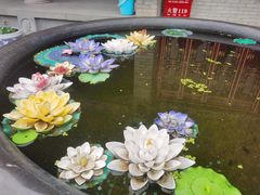 -西安市广仁寺