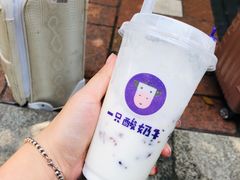 -一只酸奶牛(八一路店)