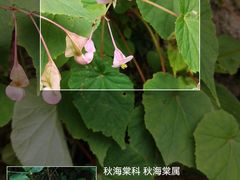 -北京凤凰岭