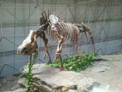 iphone_upload_pic-中国第四纪冰川遗迹陈列馆