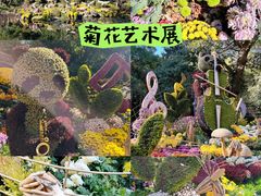 -杭州植物园