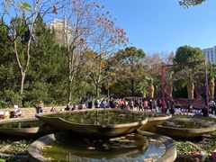 -人民公园-相亲角