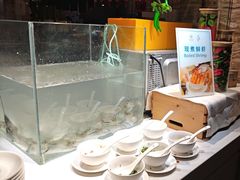 -威珀斯酒店·珀萃美食餐厅 | 海鲜刺身·现烤生蚝·特色烤肉