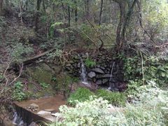 -中国花亭湖风景名胜区-西风禅寺