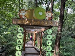 -大岭沟猕猴桃谷风景区