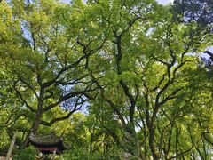 -天一阁博物院
