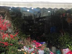 -平吉花卉市场