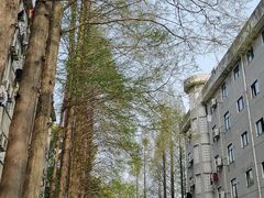 -安庆师范大学(菱湖校区)