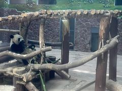 -黔灵山公园
