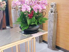 -璞·澐间影院式足道SPA(尚悦湾店)