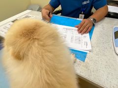 -萌兽医馆·犬猫专科·眼科中心·宠物医院(朝阳门分院)