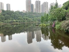 -重庆彩云湖湿地公园