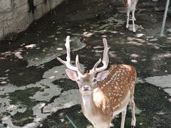 -成都动物园