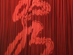 -水秀国际大剧院