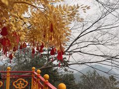 -灵顺寺